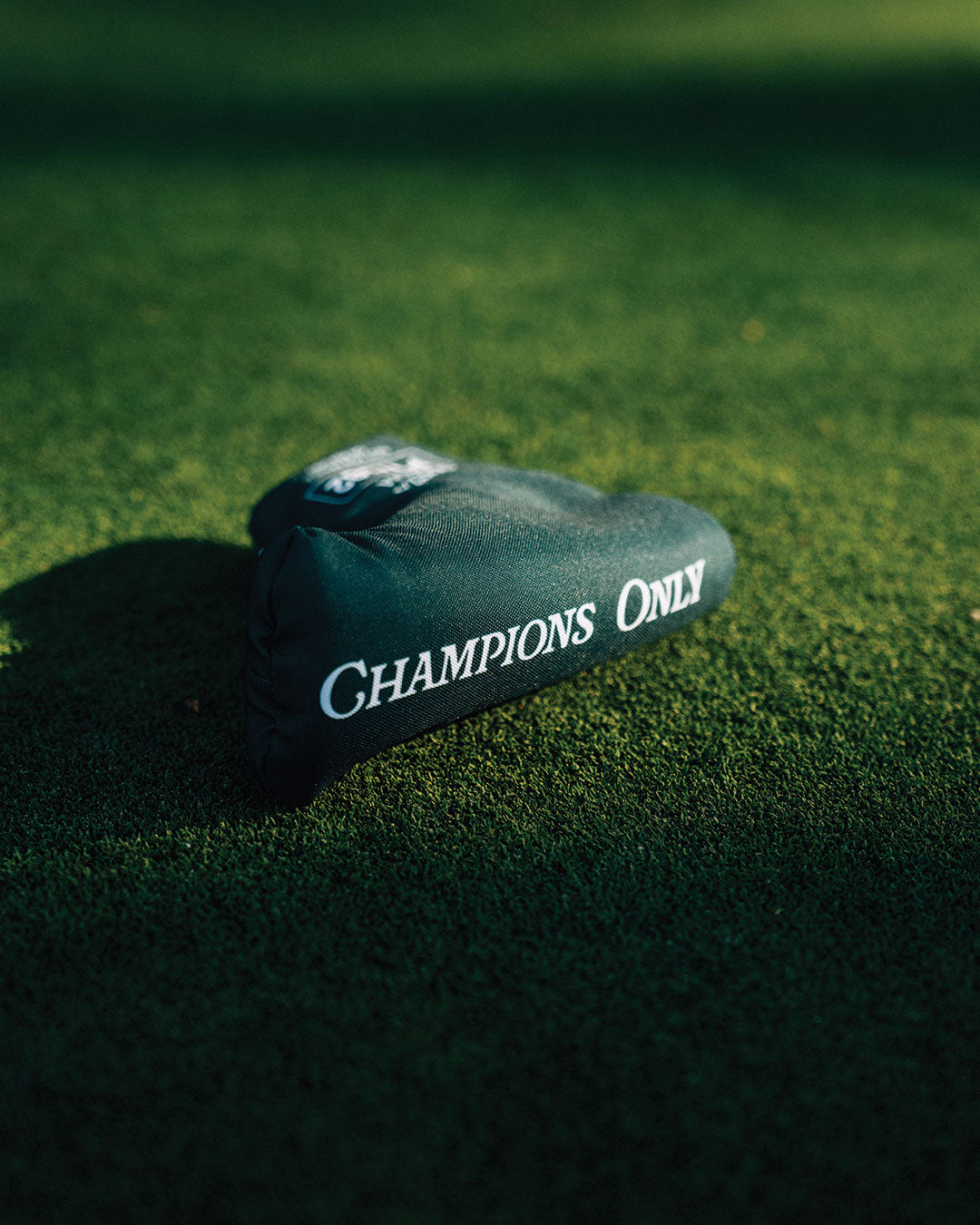 #color_champions only