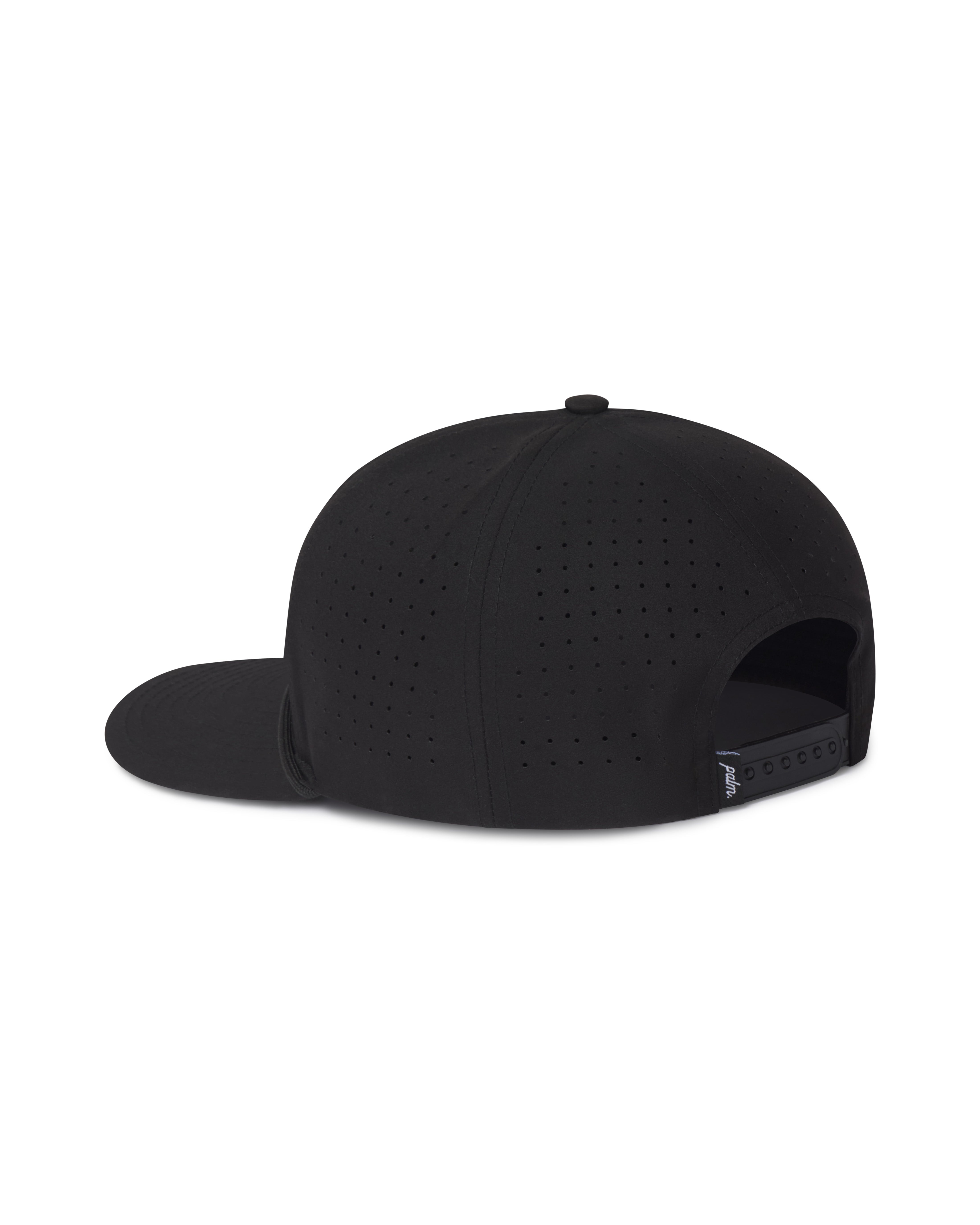 Coast to Coast Snapback