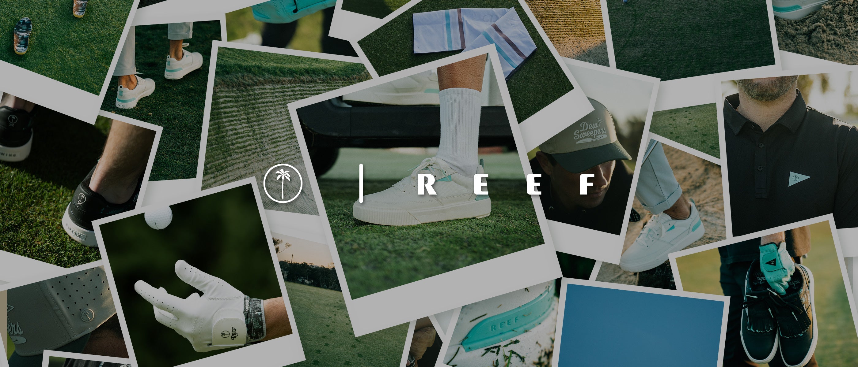 Palm x Reef