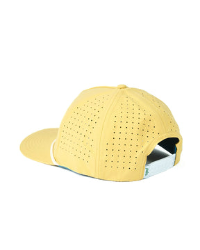 palm golf Coast to Coast Snapback