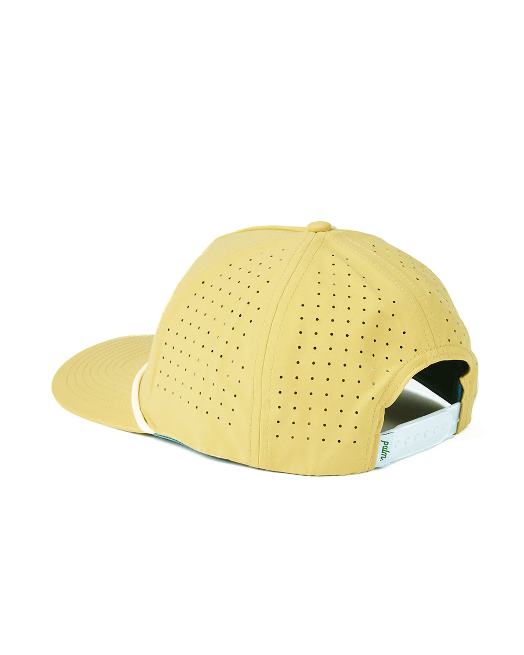 Coast to Coast Snapback