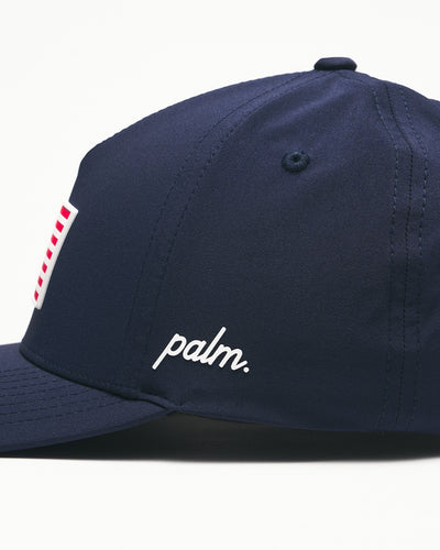 #color_navy