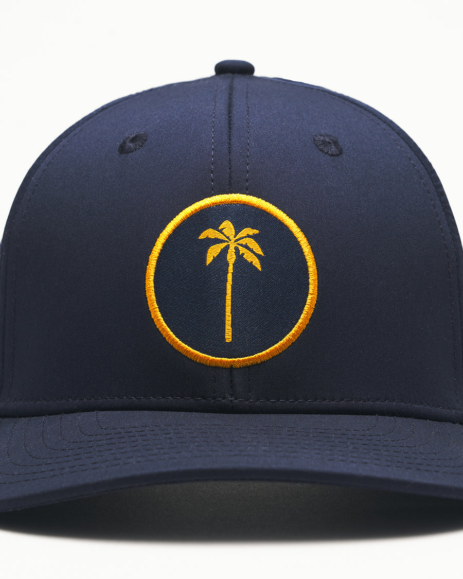 #color_navy/gold