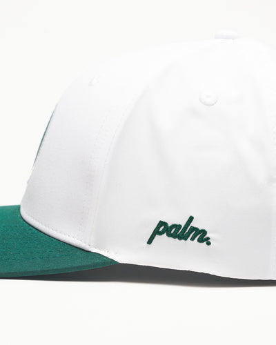 Local Performance Snapback