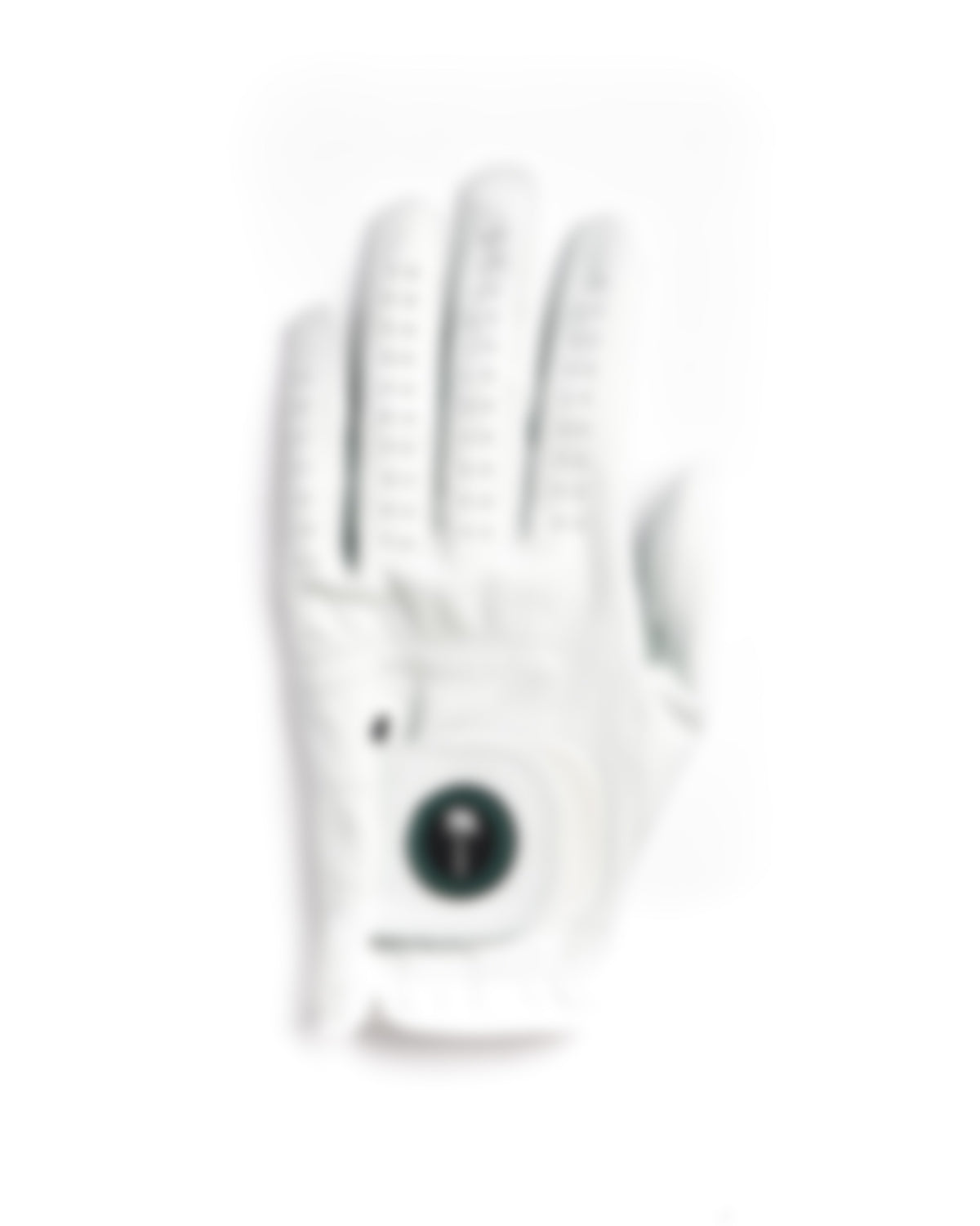 Men's Mystery Glove (Final Sale Item) - Palm Golf Co.