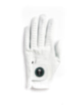 palm golf Men's Mystery Glove (Final Sale Item) - Palm Golf Co.