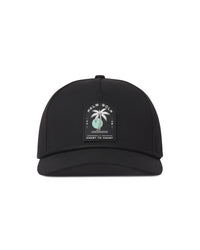 Coast to Coast Snapback