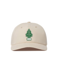 Sequoia Snapback