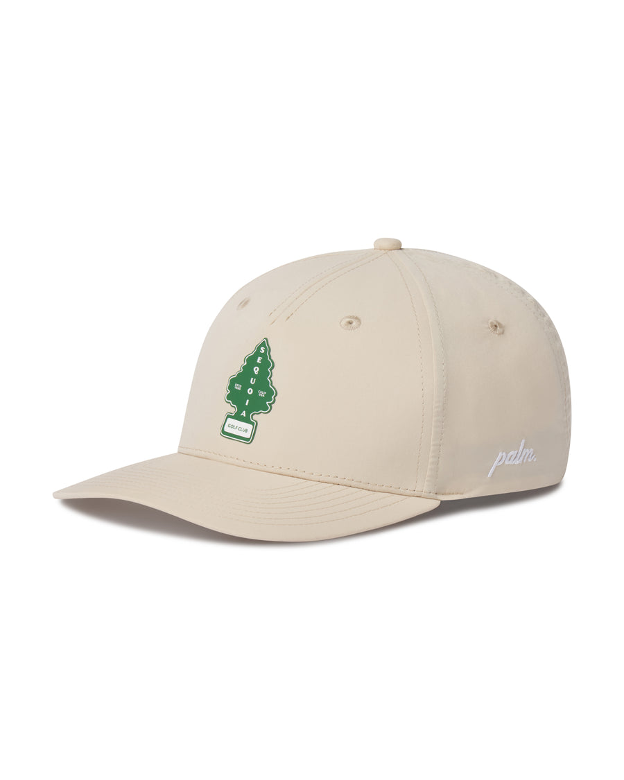 Sequoia Snapback