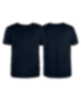 Mystery T-Shirt (Final Sale Item) - Palm Golf Co.